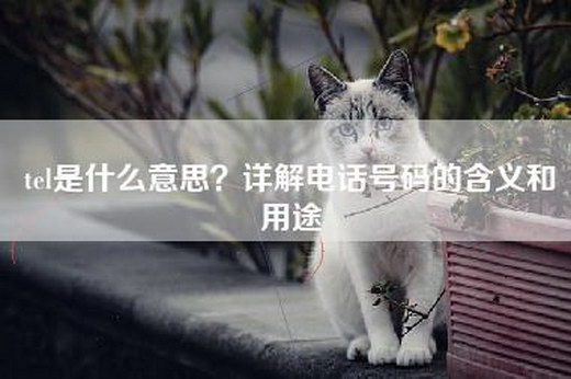 tel是什么意思？详解电话号码的含义和用途