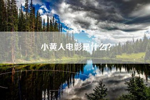 小黄人电影是什么？