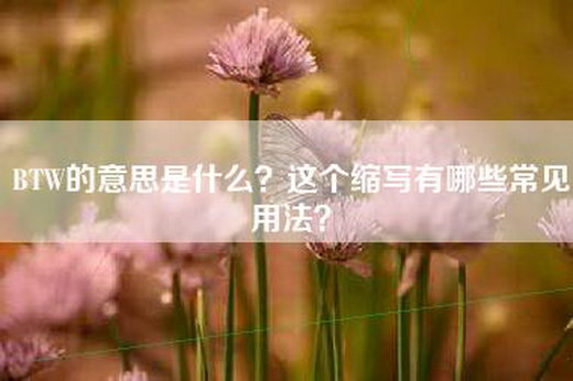 -W的意思是什么？这个缩写有哪些常见用法？