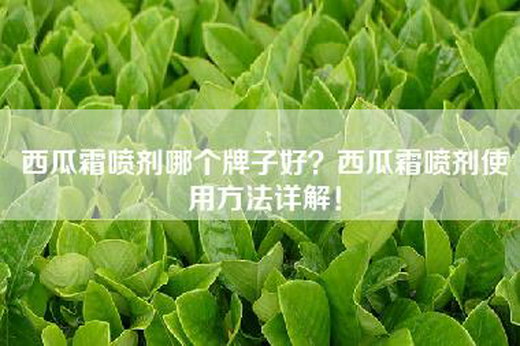 西瓜霜喷剂哪个牌子好？西瓜霜喷剂使用方法详解！