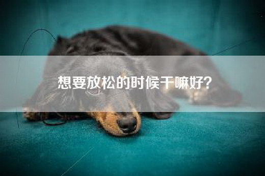 想要放松的时候干嘛好？