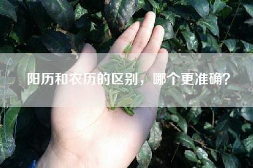 阳历和农历的区别，哪个更准确？