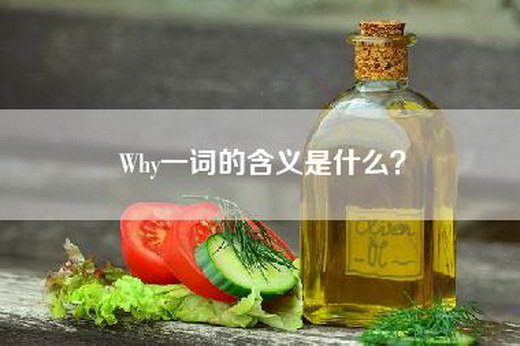 Why一词的含义是什么？