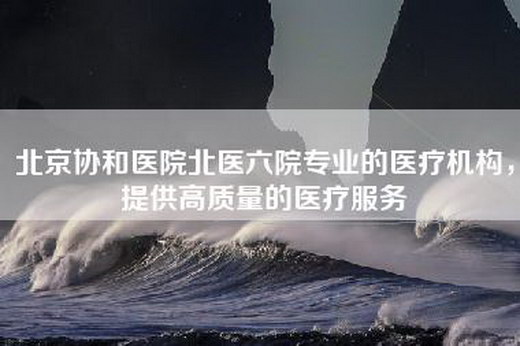 北京协和医院北医六院专业的医疗机构，提供高质量的医疗服务