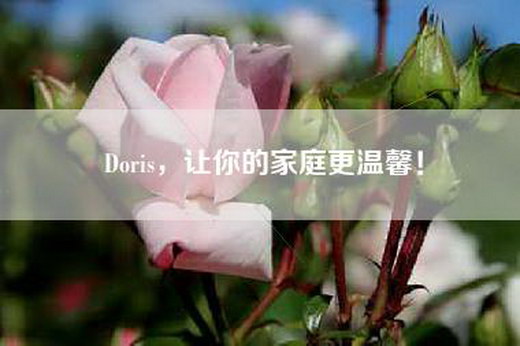 Doris，让你的家庭更温馨！