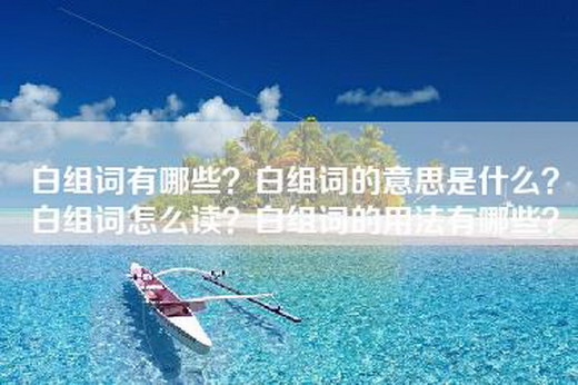 白组词有哪些？白组词的意思是什么？白组词怎么读？白组词的用法有哪些？