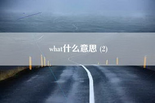 what什么意思 (2)