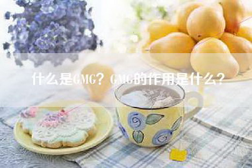 什么是GMG？GMG的作用是什么？