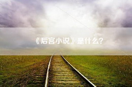 《后宫小说》是什么？