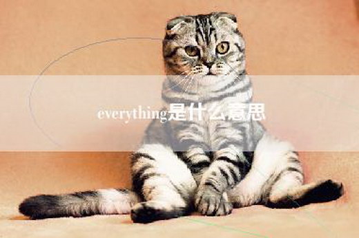 everything是什么意思