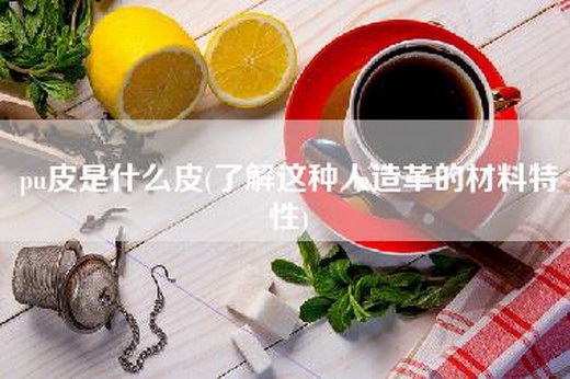 pu皮是什么皮(了解这种人造革的材料特性)