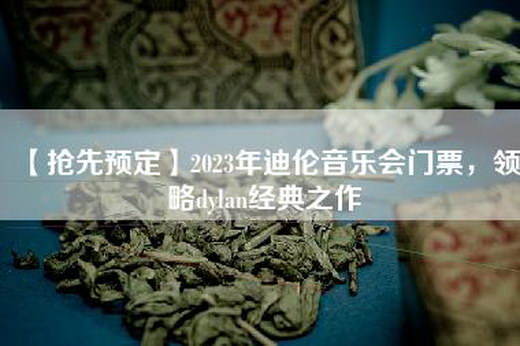 【抢先预定】2023年迪伦音乐会门票，领略dylan经典之作