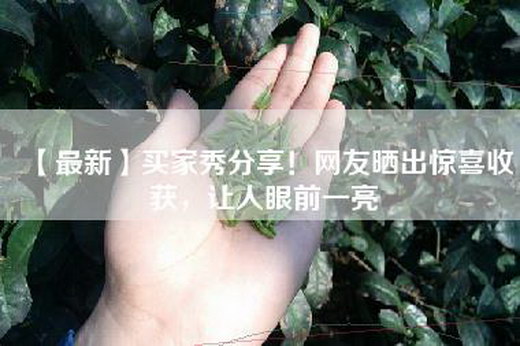 【最新】买家秀分享！网友晒出惊喜收获，让人眼前一亮