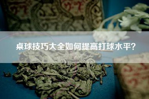 桌球技巧大全如何提高打球水平？