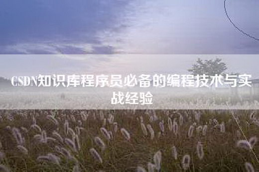 CSDN知识库程序员必备的编程技术与实战经验