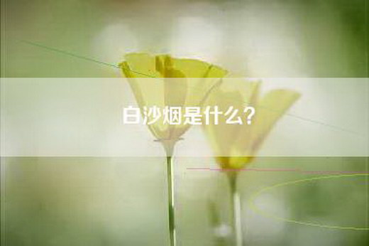 白沙烟是什么？