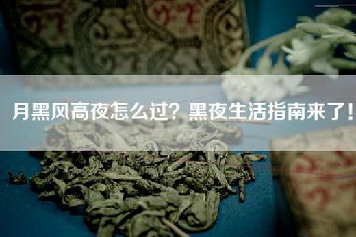 月黑风高夜怎么过？黑夜生活指南来了！