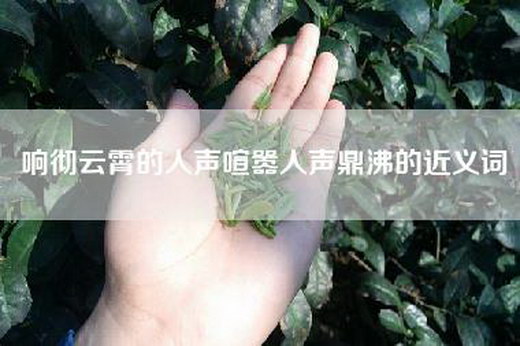 响彻云霄的人声喧嚣人声鼎沸的近义词