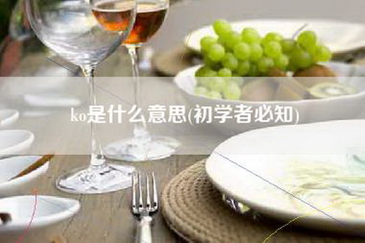 ko是什么意思(初学者必知)