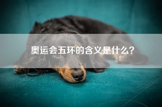 奥运会五环的含义是什么？