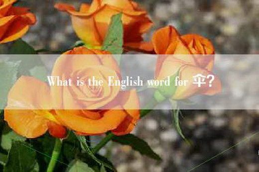 What is the English word for 伞？