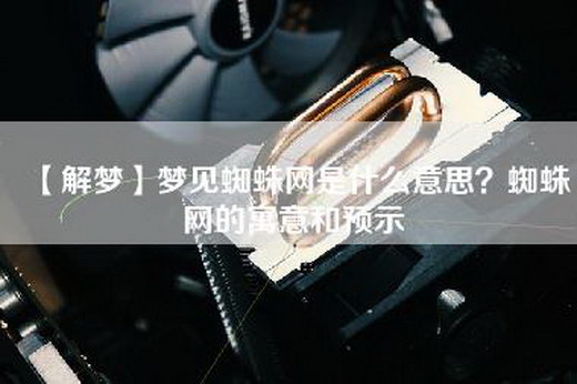 【解梦】梦见蜘蛛网是什么意思？蜘蛛网的寓意和预示