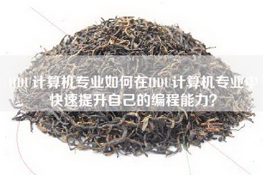 HDU计算机专业如何在HDU计算机专业中快速提升自己的编程能力？