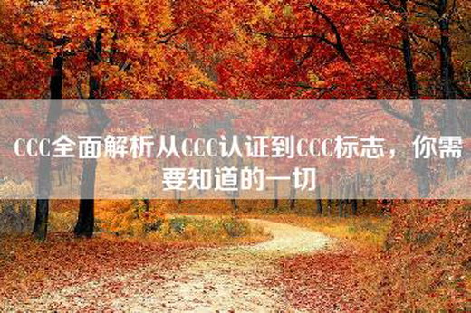 CCC全面解析从CCC认证到CCC标志，你需要知道的一切