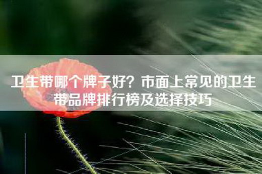 卫生带哪个牌子好？市面上常见的卫生带品牌排行榜及选择技巧