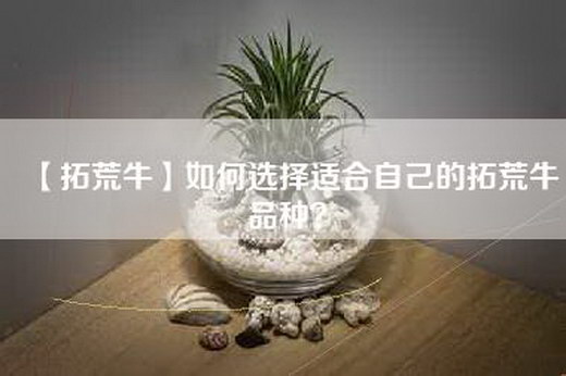 【拓荒牛】如何选择适合自己的拓荒牛品种？