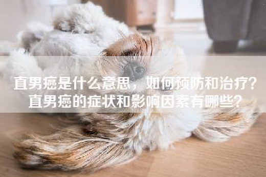 直男癌是什么意思，如何预防和治疗？直男癌的症状和影响因素有哪些？