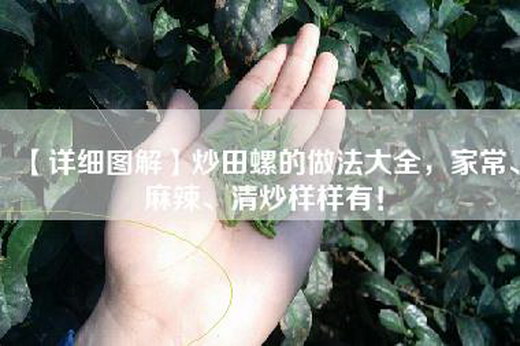 【详细图解】炒田螺的做法大全，家常、麻辣、清炒样样有！