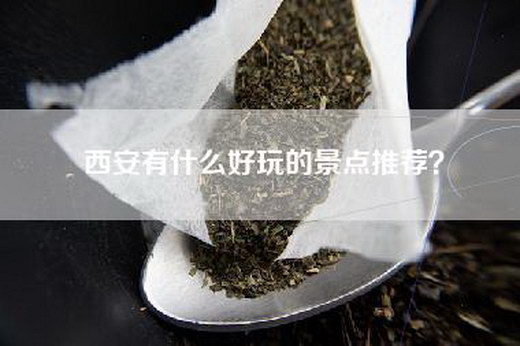 西安有什么好玩的景点推荐？