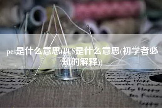 pcs是什么意思(PCS是什么意思(初学者必知的解释))