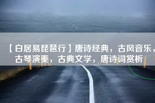 【白居易琵琶行】唐诗经典，古风音乐，古琴演奏，古典文学，唐诗词赏析