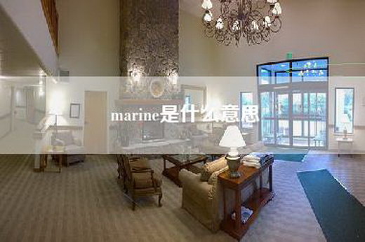 marine是什么意思