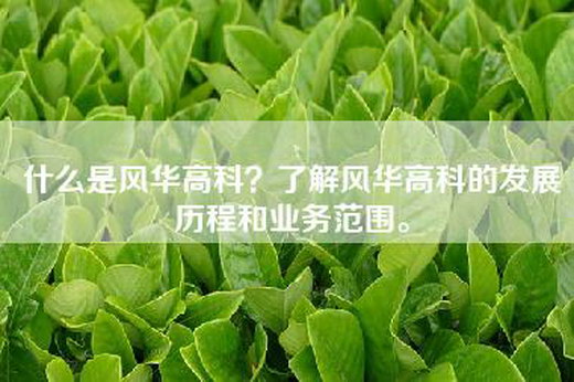 什么是风华高科？了解风华高科的发展历程和业务范围。