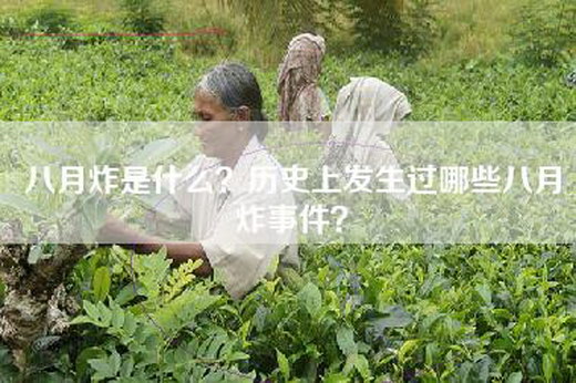 八月炸是什么？历史上发生过哪些八月炸事件？