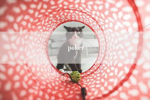 poker