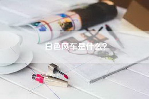 白色风车是什么？