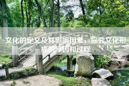 文化的定义及其影响因素，探究文化形成的原因和过程