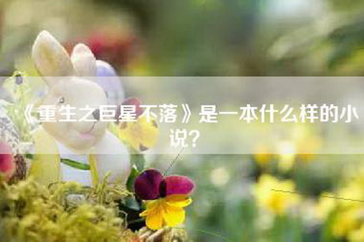 《重生之巨星不落》是一本什么样的小说？