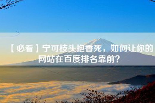 【必看】宁可枝头抱香死，如何让你的网站在百度排名靠前？