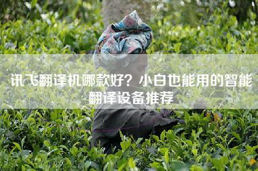 讯飞翻译机哪款好？小白也能用的智能翻译设备推荐