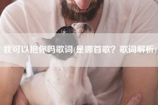 我可以抱你吗歌词(是哪首歌？歌词解析)