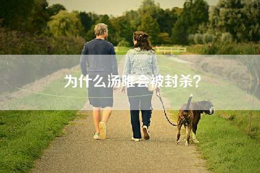 为什么汤唯会被封杀？