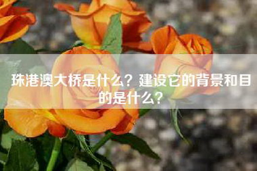 珠港澳大桥是什么？建设它的背景和目的是什么？