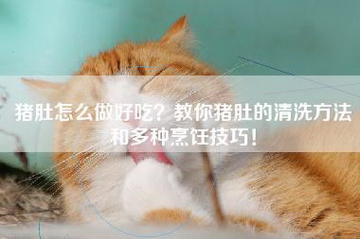 猪肚怎么做好吃？教你猪肚的清洗方法和多种烹饪技巧！