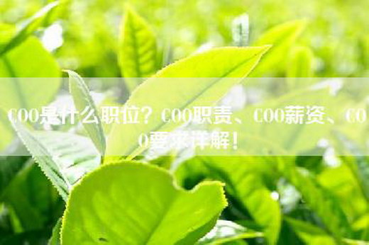 COO是什么职位？COO职责、COO薪资、COO要求详解！