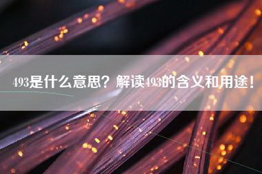 493是什么意思？解读493的含义和用途！